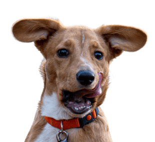 Entspannte 
Atmosphäre